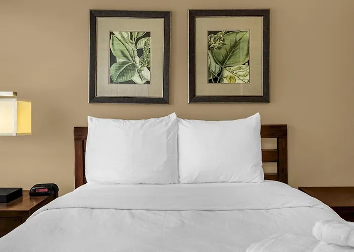 8543 - 4Br Disney World Vacation Townhome